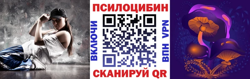 Купить где  Касли  Псилоцибиновые грибы Psilocybe 